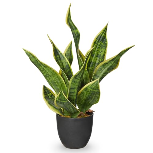 Arborus Plantas artificiales de cáñamo con arco en maceta negra de 47 cm, cáñamo artificial verde, plantas decorativas de interior como auténticas para mesa, estantería, alféizar de ventana