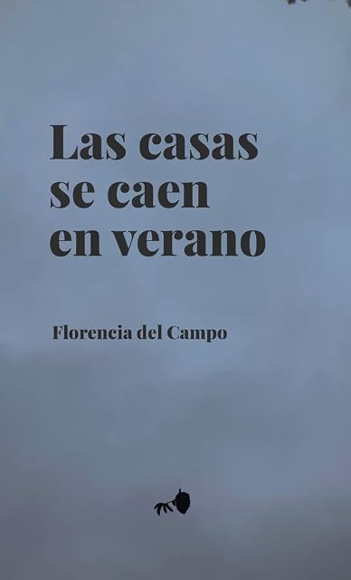 Portada de Las casas se caen en verano
