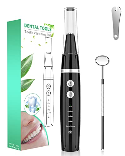 Cepillo de dientes | accesorios para hidropulsores e irrigadores – limpieza dental a 5 velocidades. Ideal para descalcificación dental y aliento fresco. Para higiene dental.