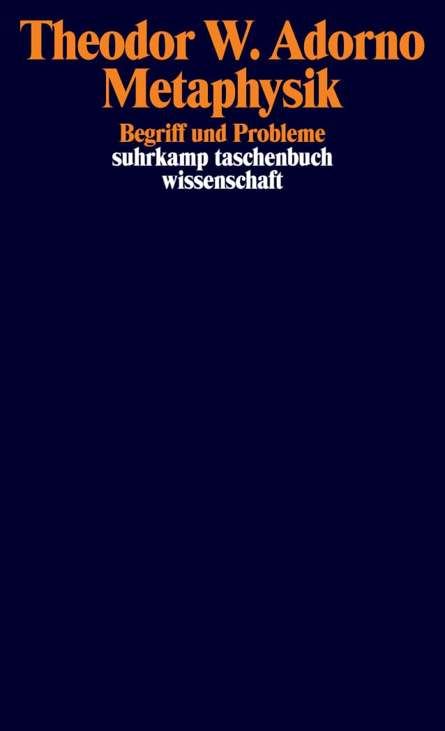 Metaphysik (1965): Begriff und Probleme