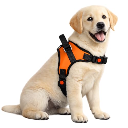 Image of No Pull Dog Body Belt | Adjustable & Soft Padded Dog Harness | Perfect for Small Breeds | for 05-13Kg Dogs - Shih Tzu, Poodle, Chihuahua (S, Orange)