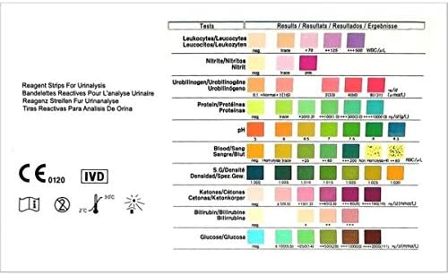 10x (10 parameter) Urinalysis test strips for liver, kidney functions & UTI
