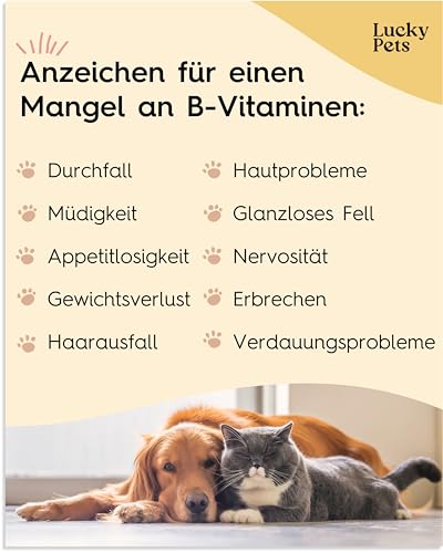 Vitamin B-Komplex Hund 140 Tabletten I Alle 7 B-Vitamine, Starke Nerven & Immunsystem, hochdosiert, Deutscher Hersteller I hohe Akzeptanz I Lucky Pets