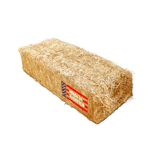 Sandbaggy 46" x 15" x 22" Straw Bales (Certified Weed Free) - Made from Rice Straw - Made in The USA (1)