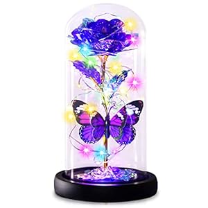 Valentines Day Gifts for Her, Birthday Gifts for Mom Grandma, Mothers Day Mom Gifts from Daughter Son, Enchanted Galaxy…