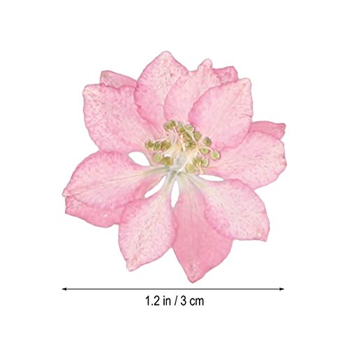 20 piezas de flores secas para decoración artesanal miniatura 2