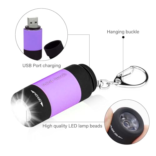 10 Stücke Mini LED Taschenlampe: LED Taschenlampe Kinder USB Wiederaufladbare, Kleine Wasserdicht Taschenlampen mit Schlüsselanhänger, Kindertaschenlampen für Camping, Grillen, Outdoor, Dringend