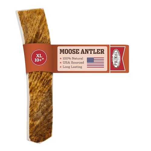 Primal Antlers for Dogs Grade A Split Moose Antlers for Large Canines 45-60 lb Natural Chews for Aggressive Chewers Naturally Shed Long Lasting Dog Bones 1 ct