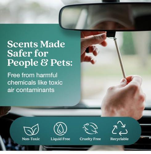 Image of Enviroscent Non-Toxic* Car Air Freshener Auto Stix - Scents Made Safer - Enjoy Fragrance Lasts Up to 480 Days - Includes Auto Stix Diffusers & Elastic Loops - Seaside Coconut & Verbena (Pack of 8)