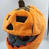 GeRRiT Motorbike Helmet Cover Fluffy，for Decoration(Without Helmet) Personalized Cover,Gifts (Pumpkin Head), Large, ZY-0008