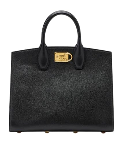 Salvatore Ferragamo Studio Box Bag (M)