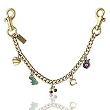 QHSOZ Bag Chain Charm for Handbag, Purse Wallet &Pants Chain Jean Chains, Vintage Bag Strap Chains Extender