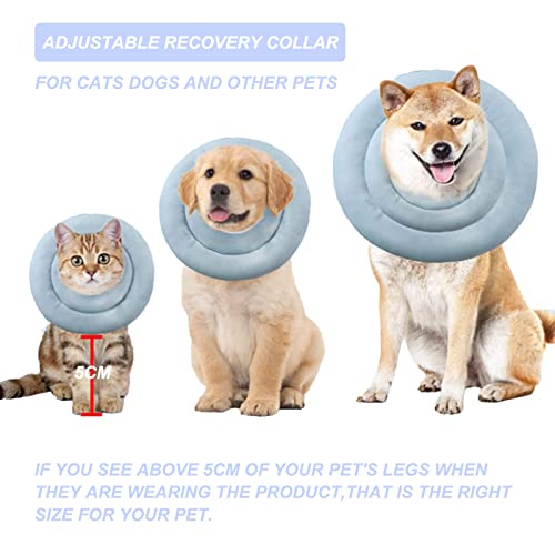 Collare Protettivo Gatto,Elisabettiano Collare a