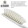 Kent AH8W Airhedz Cushion Paddle Brush - Scalp Massager and Detangler Brush - The Hair Brush for Thick Hair - Scalp Massager Hair Growth Stimulator - Hair Detangler and Curly Hair Brush