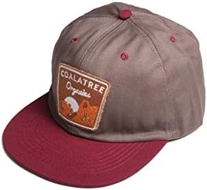 Coalatree Organics Men's Slick Rock Hat
