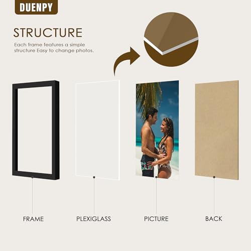Image of DUENPY 5 Folding 4x6 Accordion Wood Frame Plexiglass Black