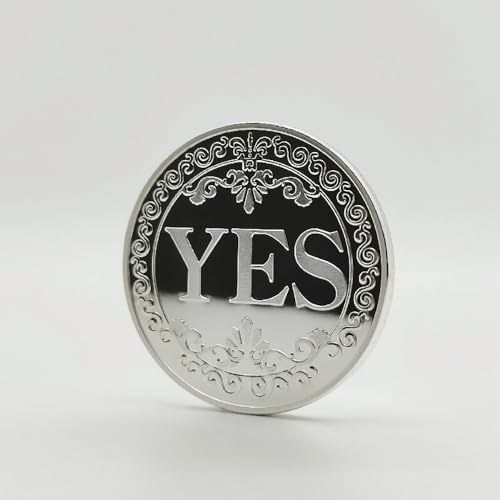 1pcs Challenge Coin,Ja Nein Münze Ja Nein Herausforderung Münze Entscheidungsmünze Gedenkmünze Choice Coins Ja Oder Keine Gedenkmünzsammlung,Silber(Stil 1)