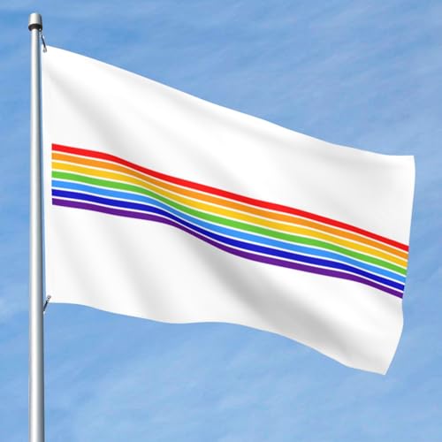 Drapeau juif extérieur grand format bannière robuste double face 1,5x2,4m - 7