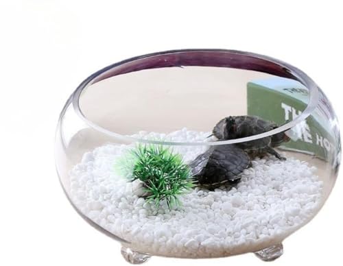 Hubiuyo 金魚鉢 ガラス 丸 テラリウム透明なガラスの水槽。 金魚、メダカ、ベタの水槽、スリーキャッチ肥厚水槽、円形透明ガラス金魚水槽、リビングルーム小型家庭用デスクトップ亀水槽水耕栽培金魚鉢 ガラス 円柱 (25cm)