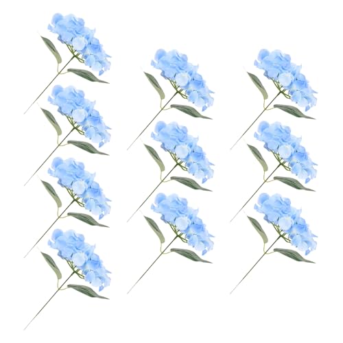 IMUSINICE @ׂȃAWTCԑ 10{Zbg tFCNt[i p[eB[pʐ^ CeAfR[V