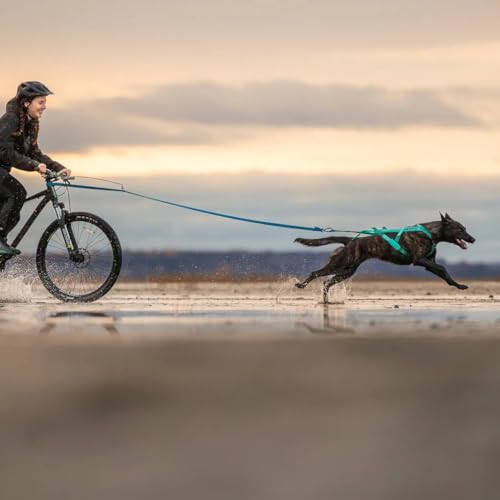 Non-Stop Dogwear Freemotion Geschirr 5.0, Aqua (6)