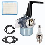 696065 697422 Carburetor Compatible with B & S 110402 110412 215369 5HP 5.5HP 6HP 6.5HP 7HP Tiller Engine Carb with Mounting Gaskets Kit and 491588S Flat Air Filter Cartridge