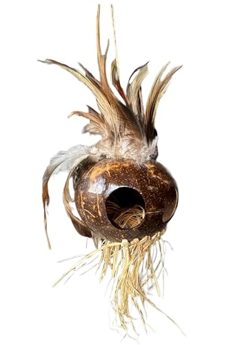 Zero Gravity Hawaii Large Hawaiian Natural Ikaika Warrior Helmet