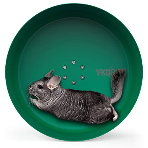 Best Exercise Wheel For Chinchilla