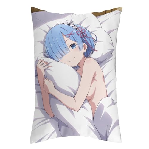 Re �[������n�߂�ِ��E���� ���[�� ���� �G�~���A �N�b�V�����J�o�[ ������� �������J�o�[ �\�t�@�w���� �ƒ둕�� �� ���� �l�G�ʗp 30×50/40×60/50×76cm