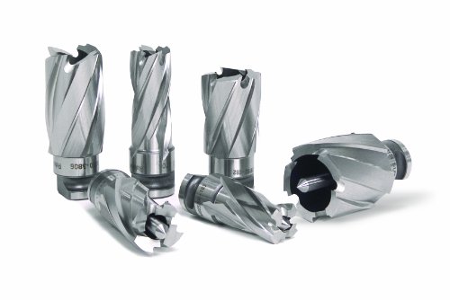 Hougen 17100 RotaLoc Pilot for Cutters