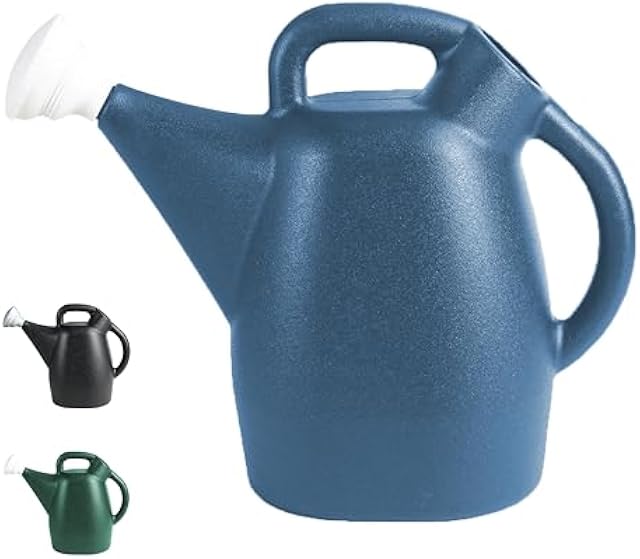 CHAPIN 48010 2-Gallon Watering Can, Drip-Free Spout for Clean Pour