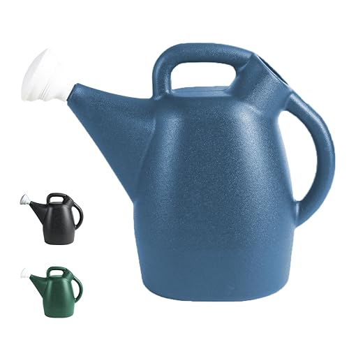 CHAPIN 48010 2-Gallon Watering Can, Drip-Free Spout for Clean Pour