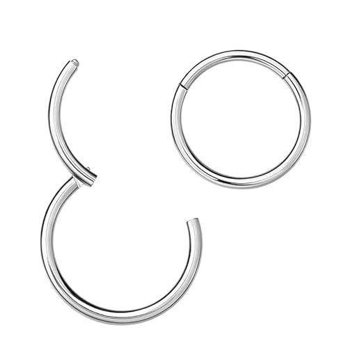 AroudightElive Alloy Nose Rings, European And American Fashion Cross-border Puncture Accessories, Buckle Closure Rings, Minimalist Earrings, Cartilage Rings (1 Set)(1.0 * 10mm)