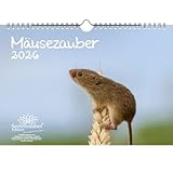 Seelenzauber