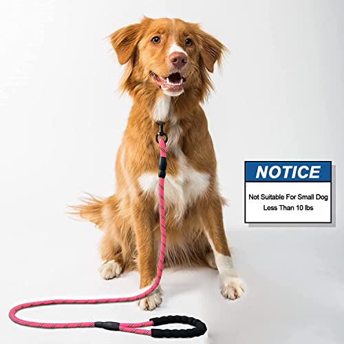 Brilliant Paw Strong Rope Dog Leash 5Ft, Durable Nylon Dog Leash, Dog Lead, With Highly Reflective Thread And Comfortable Soft Padded Handle, Heavy Duty Dog Leash For Medium, Large Dog, Pink #TOP1