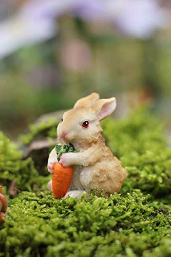 Muamax 3 Pcs Miniature Bunnies Fairy Garden Accessories Rabbit Easter Bunnies Resin Ornaments Garden Bonsai Decoration Sculpture Statue Figurines For Lawn Potted Plants #TOP6