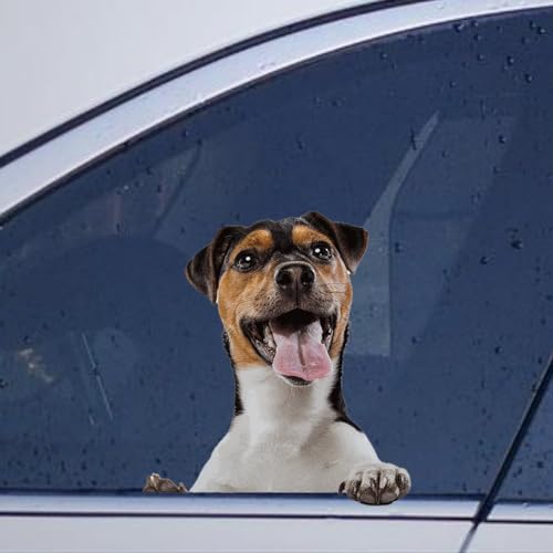 Image of Rottweiler Dog Stickers - Car Decals, Funny Animal Pet Lover Gifts - Vinyl Die Cut Decals for Laptops, Bumpers