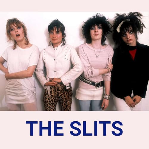 Page de couverture de The Slits - Not Your Typical Girls