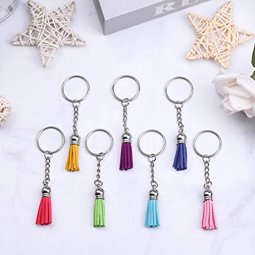 Ulimitx 24Pcs Acrylic Clear Circle Discs Transparent Round Keychain Blanks for Vinyl, with 24Pcs Key Chains, 24Pcs Tassel Pendants for DIY and Crafts