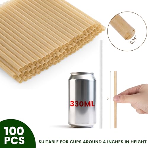 image for HANSGO Cocktail Straws, 5 Inch Short Sugarcane Straws Disposable Mini 