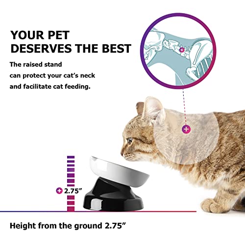 Y Yhy Cat Slow Feeder, Elevated Cat Food Bowl Tilted Design, Dog Slow Feeder Bowl No Black Chin, Cat Shape Slow Feeder For Dry And Wet Food #TOP4