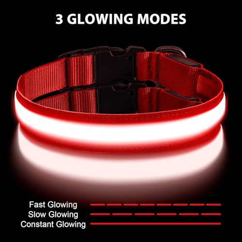 AUAUY Light Up Dog Collar, Type-C Port Charging LED Dog Collar Light - Image 4