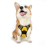 rabbitgoo Arnes Perro Grande Mediano Pequeño Arnés Pecho Antitirones Perros Coche con Lineas Reflectantes Cómodo Transpirable Chaleco Acolchado Ajustable para Adiesreamiento Correr M Amarillo