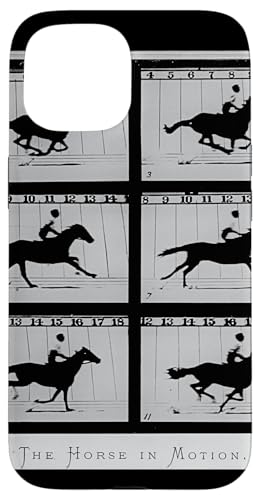 Gh[hE}CubẂuUEz[XECE[Vv X}zP[X iPhone 15 p