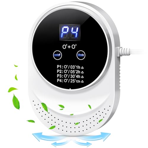 Ozone Generator 300mg/h Air Purifier