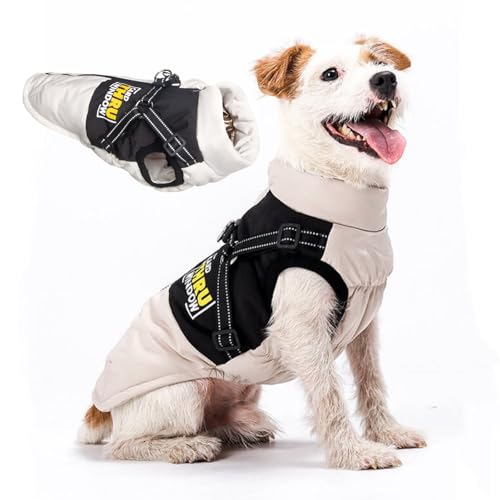 [GIIPET] ~ ybgpۉWPbg OtF}M n[lX̌^ȓ  xXg ȕR[g  _ExXg ? y EȒP H~ h hWPbg g ybg ^ ^ o| U