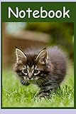 Independently published