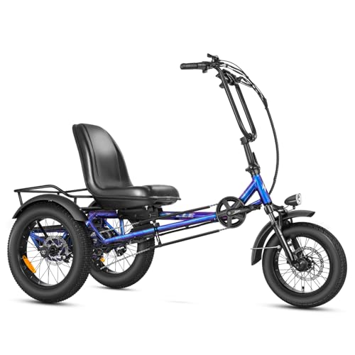 ZYCLE Z500 Blue Electric Tricycle
