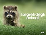 Photo Gallery i segreti degli animali