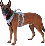 Huntboo Sicherheitsgeschirr Hund Ausbruchsicher, Panikgeschirr für Hunde, Reflektierendes Geschirr Hund mit Griff, Verstellbare Hundegeschirr für kleine, mittelgroße und große Hunde (Blaugrün,M)